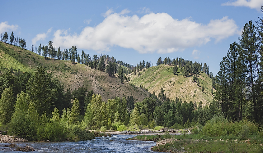 Clouds float in blue sky above the Boise River near Featherville, Idaho.