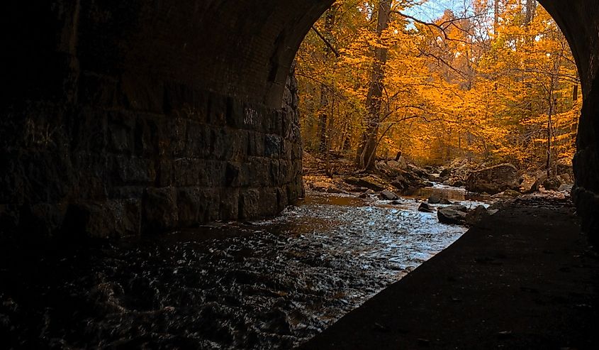 A dark tunnel leading to an autumn forest in Arden, Delaware. The water flows choppily towards the boulders in the orange-illuminated woodland.