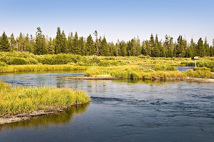 Madison river near West Yellowstone, Montana, USA