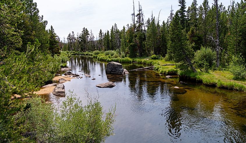 Little Popo Agie River, near Lander, Wyoming, with calm water