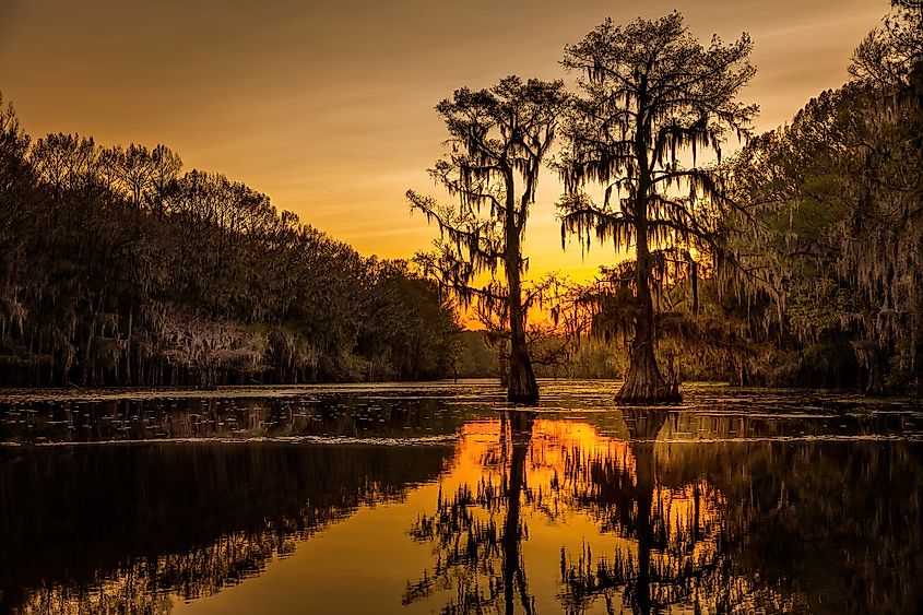 Caddo Lake