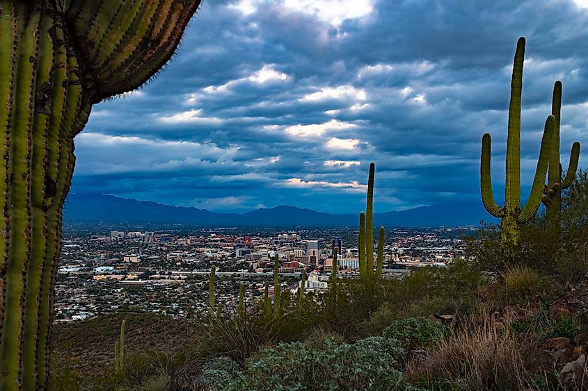 View of Tucson, Arizona from Tumamoc Hill west of the city. 