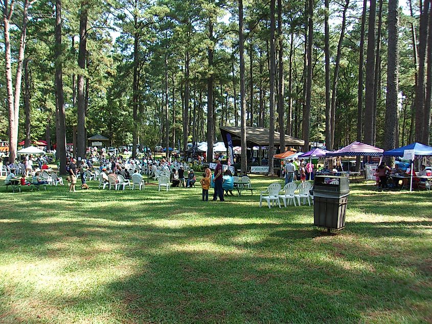 NELA Celtic Festival held at West Monroe, Louisiana. Image credit: The Southern Gentleman / Shutterstock.com.