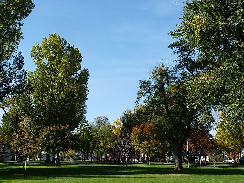 Park in Windsor, Colorado during fall