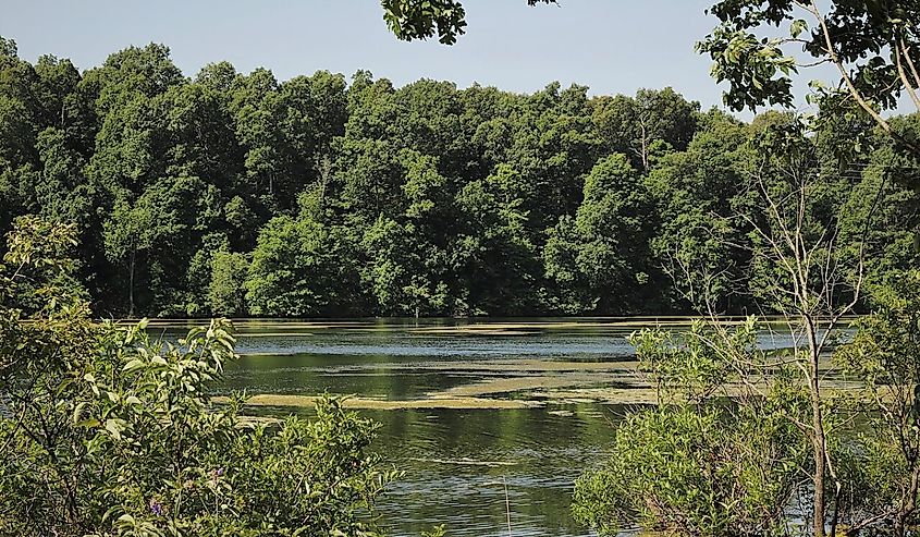 Fellows Lake in Missouri, in late spring.