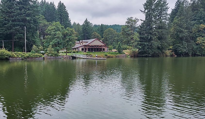 Wonderful Lacamas Lake on a breezy cloudy morning with the wilderness reflecting in the calm shimmering water 