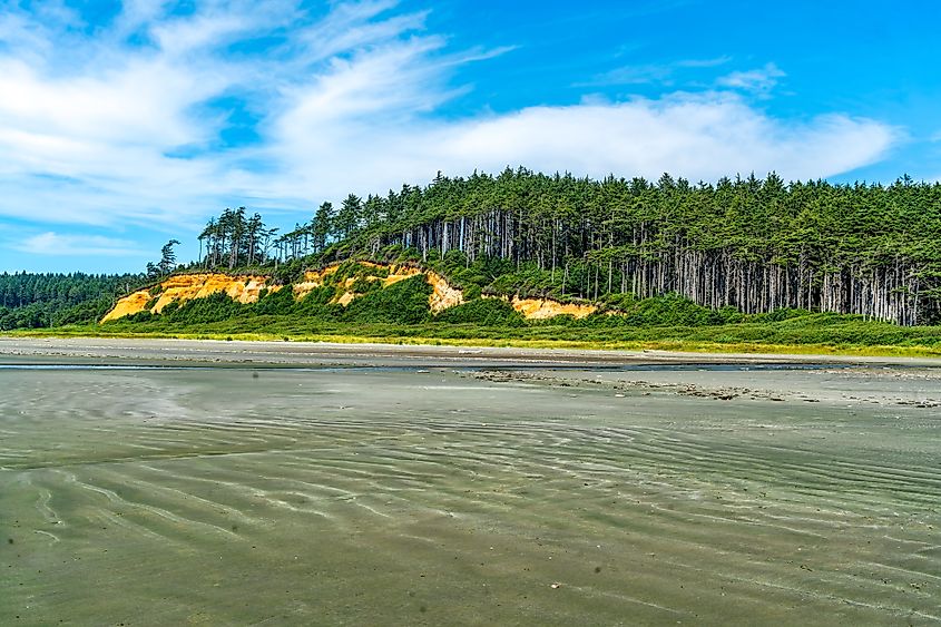 The beach at Moclips, Washington.