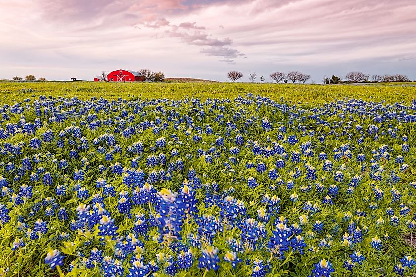 Brenham, Texas