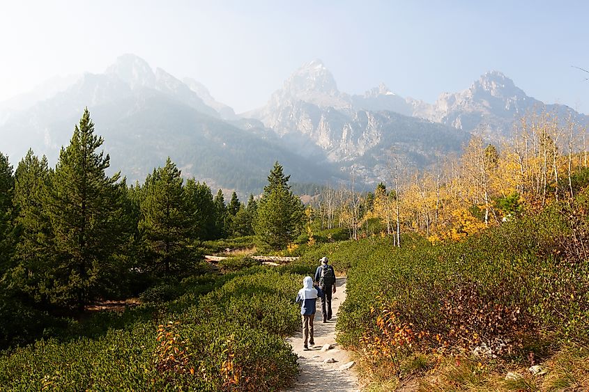 Grand teton national park