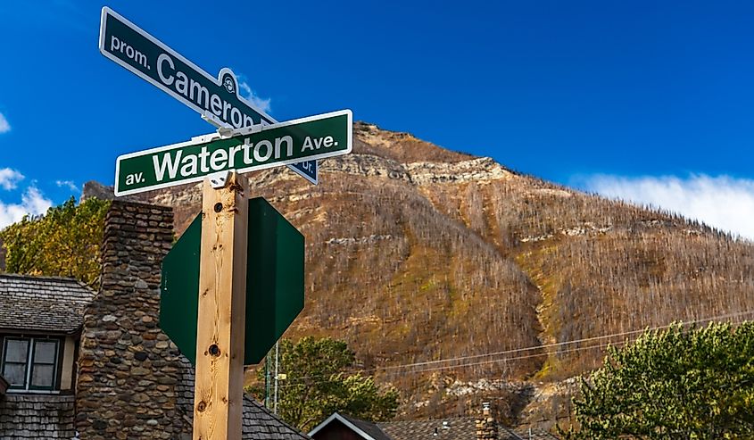 Street signs in Waterton Park.