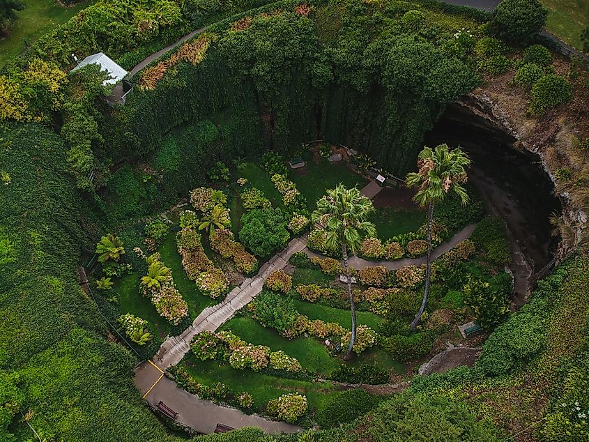 A birds eye view from a drone of the evergreen Umpherston Sinkhole in Mt Gambier, South Australia.