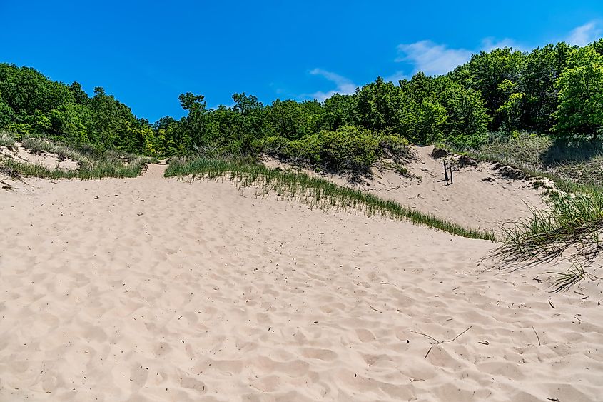 Indiana Dunes State Park near Porter, Indiana, USA.