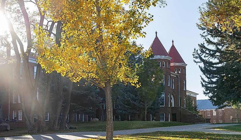 Beautiful fall color around the campus of Northern Arizona University