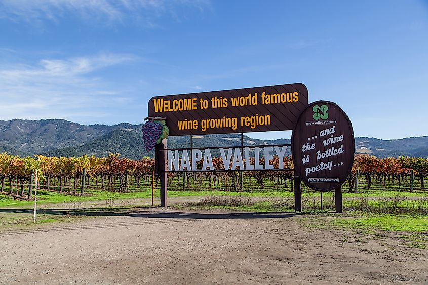 Napa Valley, California, in fall.