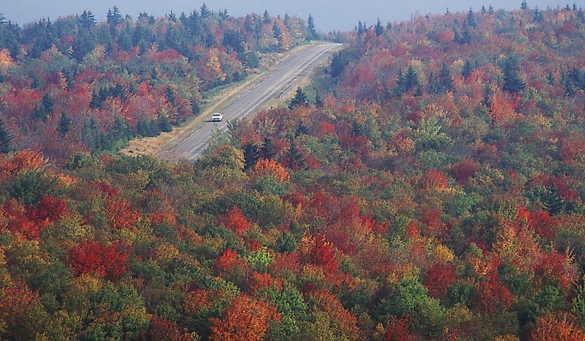 Autumn road along Scenic Highway US Route 150, West Virginia