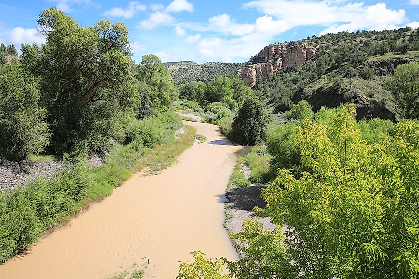 Gila River, New Mexico.