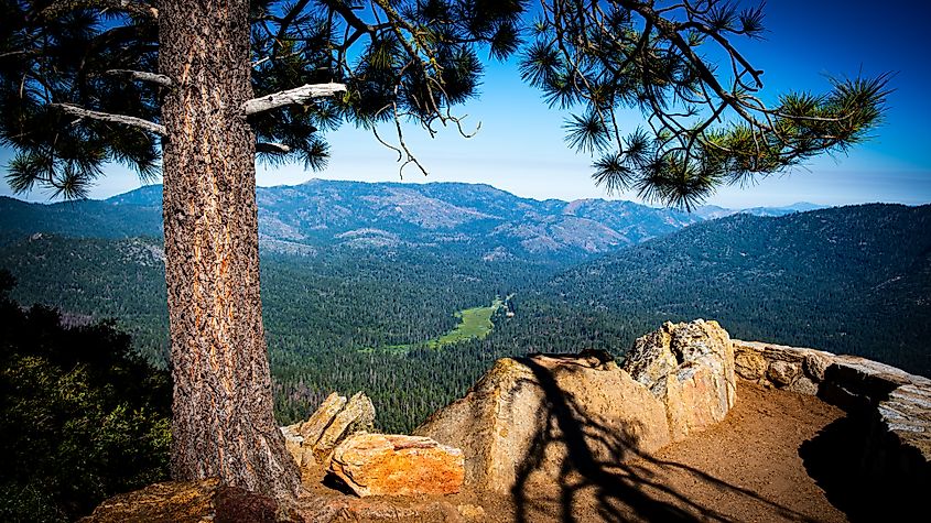 The view from Wawona Point, looking north over Wawona Meadow.