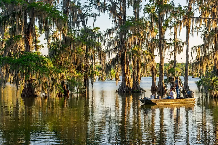 Fishing on a boat at Lake Martin in Cypress Island Preserve, cypress swamp reflections near Breaux Bridge, Louisiana