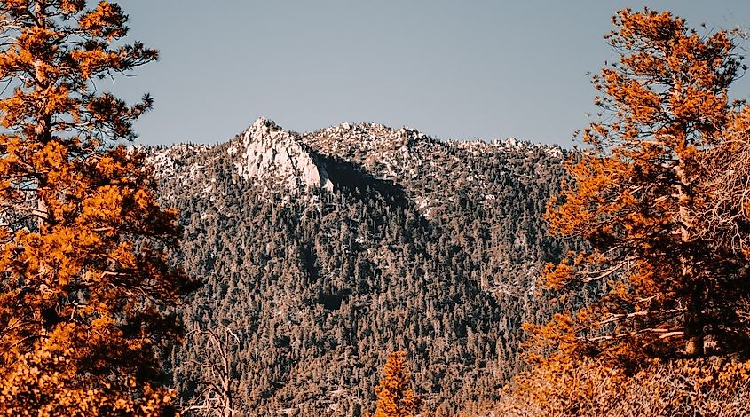 Idyllwild