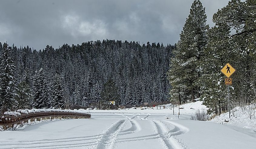 Roads covered in snow near Greer, Arizona in the winter