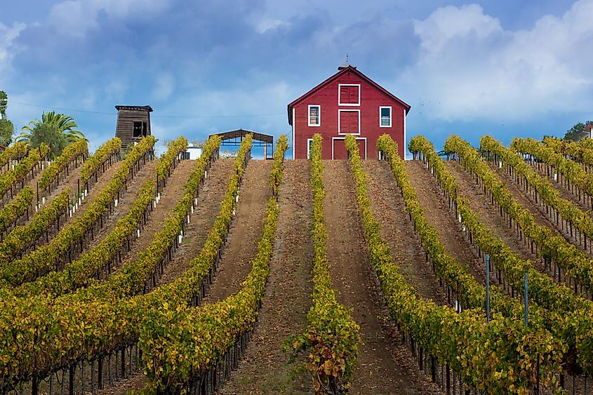 Winery in Healdsburg, California.