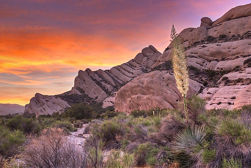  The Mormon Rocks, also known as Rock Candy Mountains, part of the San Gabriel Mountains near Wrightwood, California.