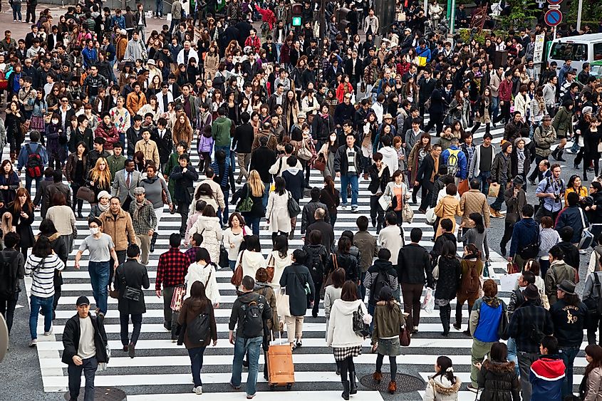 Human population in Tokyo