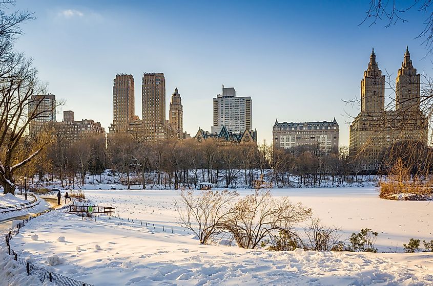 Central Park in New York City with snow in winter