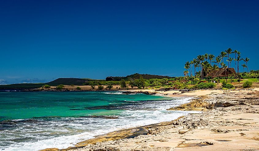 Kepuhi Beach on the west end of the Hawaiian Island of Molokai, with a Polynesian-style building and coconut palm trees in the distance