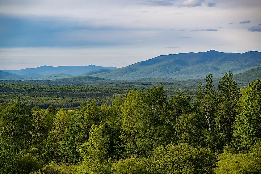 A view of the White Mountain National Forest in New Hampshire