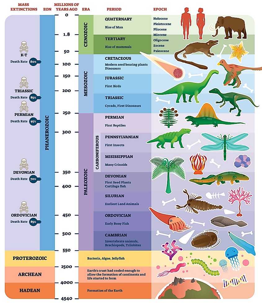Evolution of life on Earth