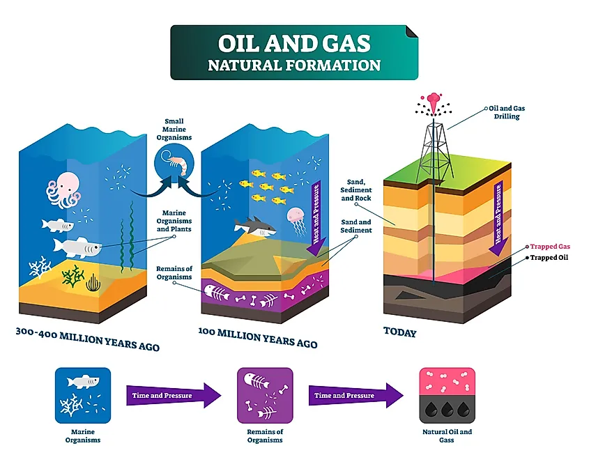 fossil fuels formation