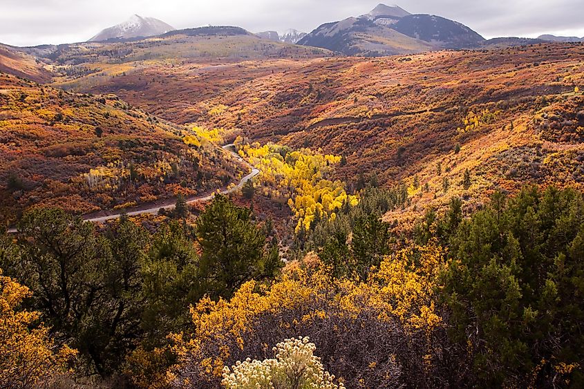 Manti-La Sal National Forest.