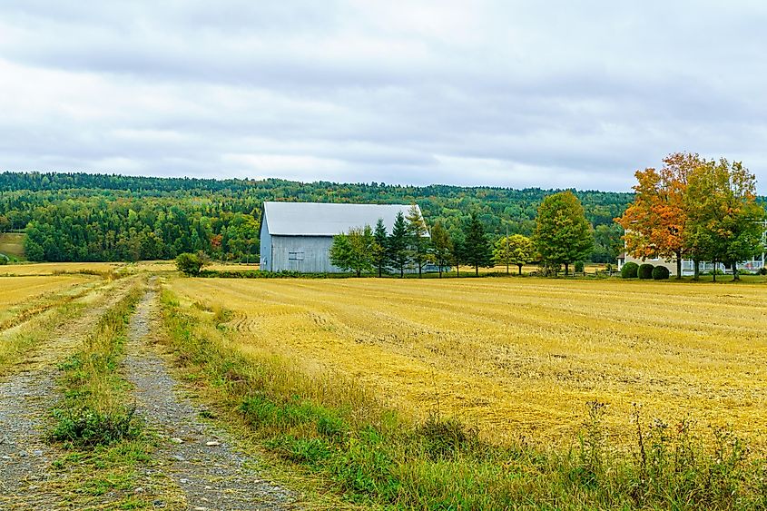 View of countryside and forest in Notre-Dame-du-Portage, Quebec, Canada