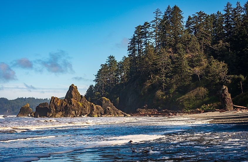 The Coastline at Ruby Beach in Olympic National Park, Washington State.
