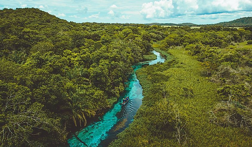 Sucuri River or Rio Sucuri in Bonito