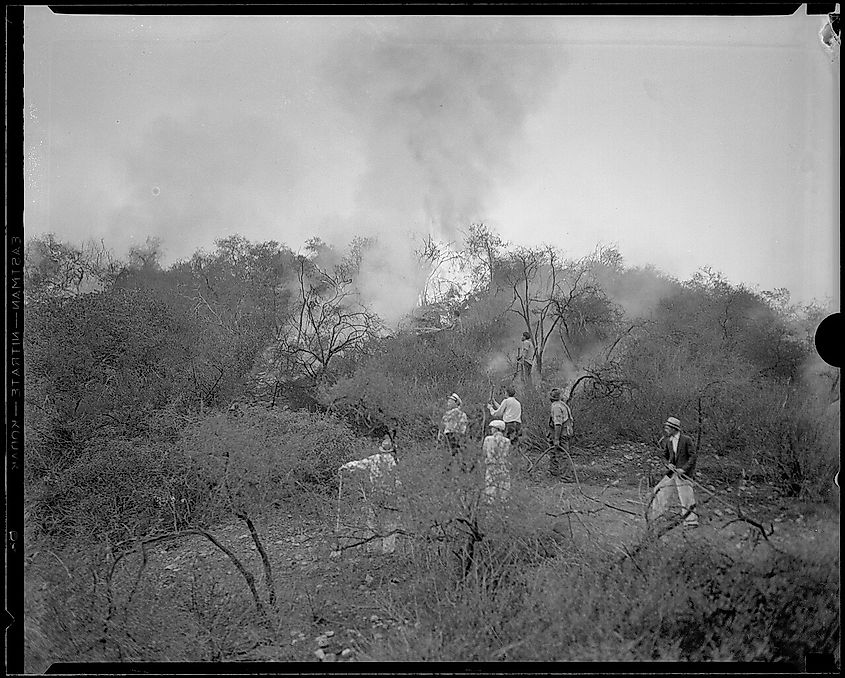 Workers fighting the Griffith Park fire, Los Angeles, 1933.