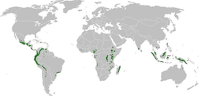 Cloud forest distribution map
