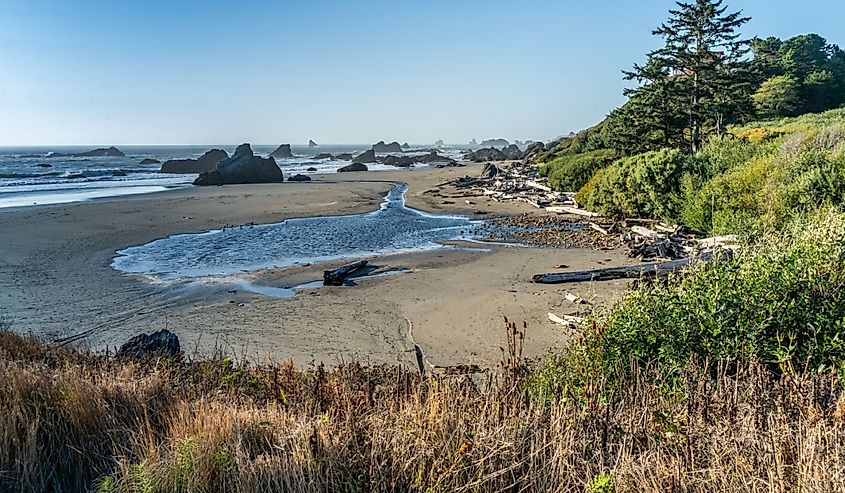 A scenic view of Harris State Park in Brookings, Oregon.