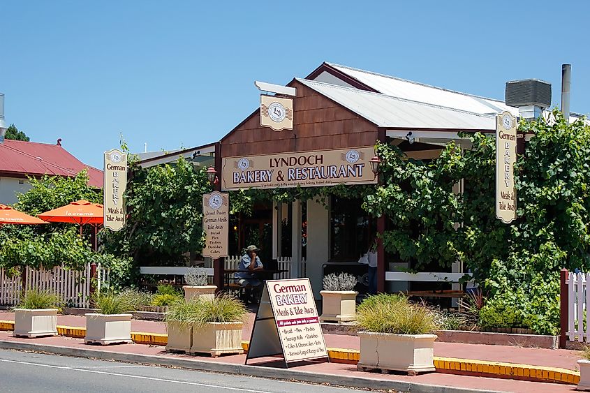 Lyndoch, South Australia. 
