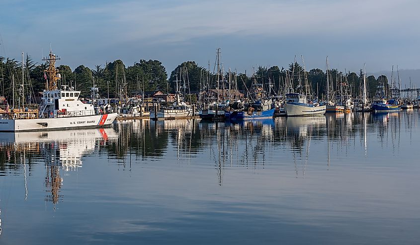 Boats in Humboldt Bay, Eureka Harbor, Eureka, California
