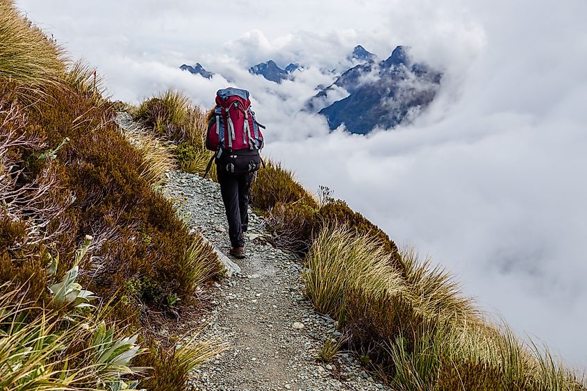 Routeburn track