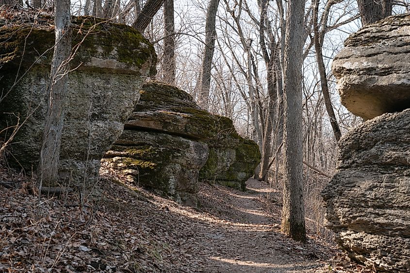 A trail through the Burr Oak Woods Conservation Area, Missouri.