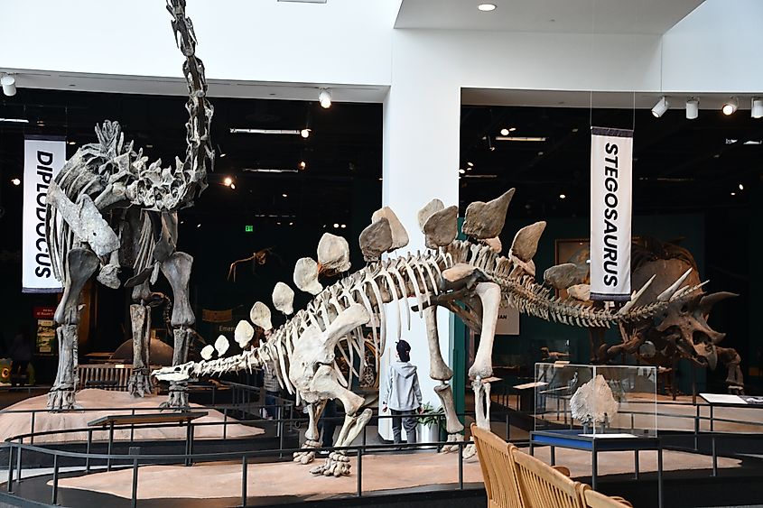 A dinosaur exhibit at the Science Museum of Minnesota in Saint Paul. Editorial credit: Ritu Manoj Jethani / Shutterstock.com
