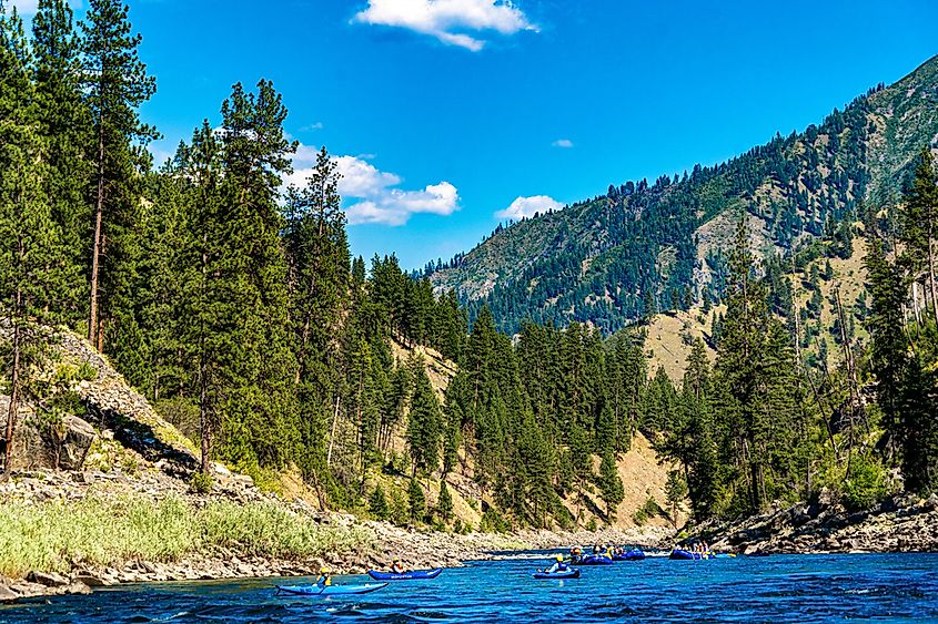 A river raft and kayaks in white water on the Salmon River in the Frank Church River of no Return wilderness area in northern Idaho USA