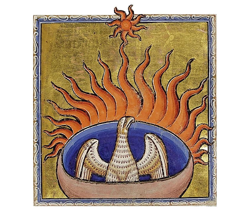 Death of a Phoenix, burning in the flames, Taken from the Aberdeen Bestiary Project