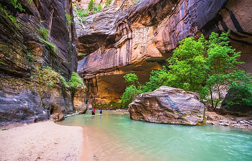 Hikers crossing the river flowing through a gorge in the Zion National Park.