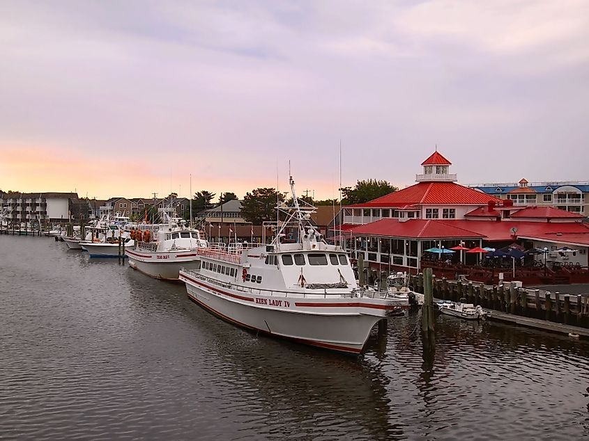 Tour boats and fishing boats are moored in the harbor at sunset in Lewes, Delaware