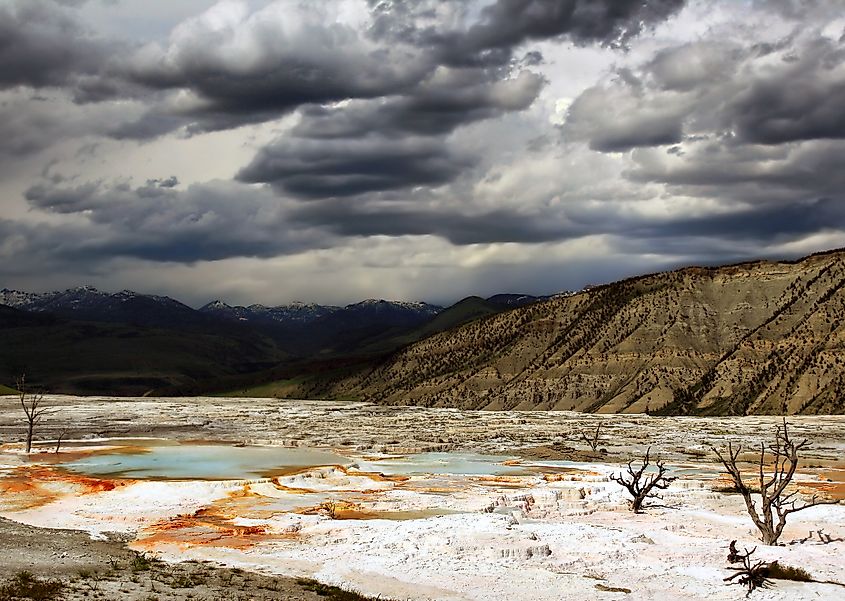 Mammoth Hot Springs
