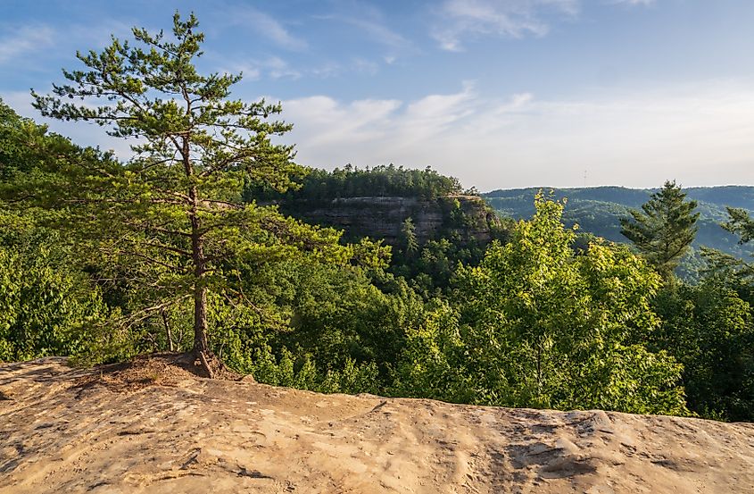 Natural Bridge State Resort Park in Kentucky